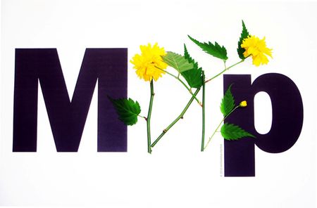 Image Image