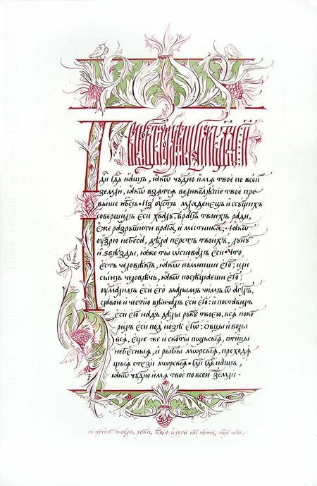 Image Image