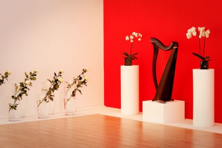 Image Image